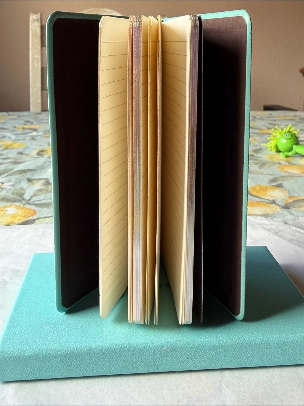 🩵📒🩵 TIFFANY & CO. POCKET JOURNAL 🩵📒🩵 NWOT 🩵📒🩵